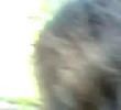 shaved pussy bangla baby outdoor wid audio.3gp